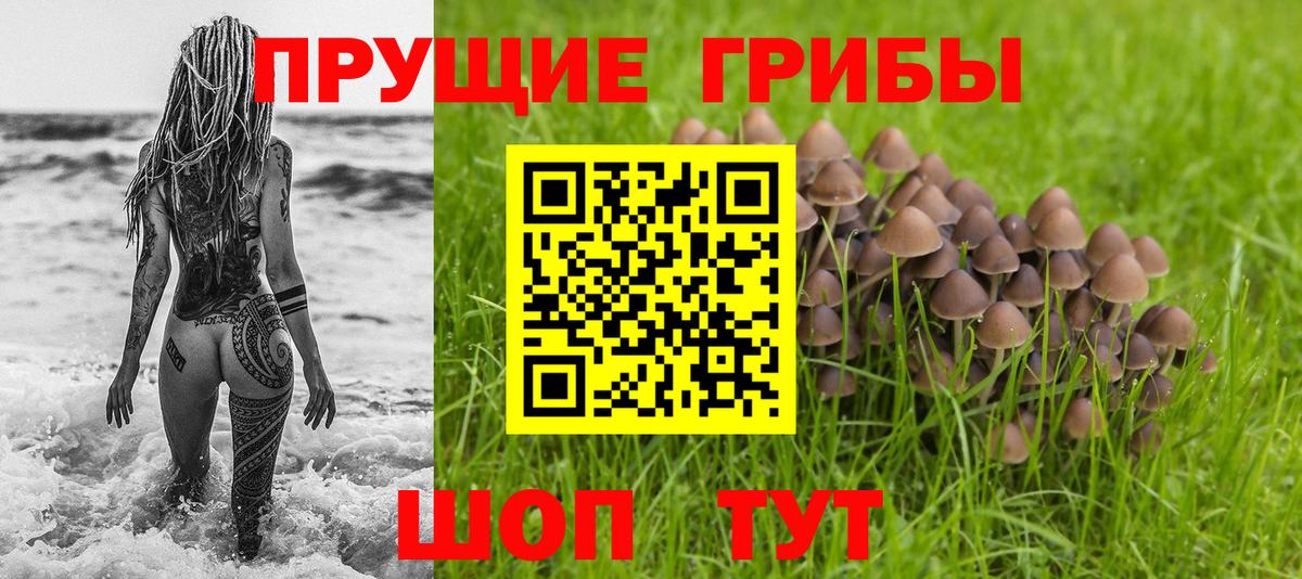 Галлюциногенные грибы GOLDEN TEACHER Тында