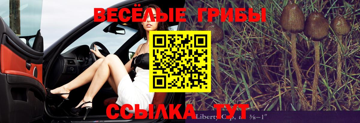 Галлюциногенные грибы Тында